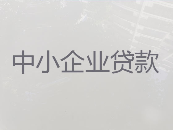 孝感小微企业信用贷款